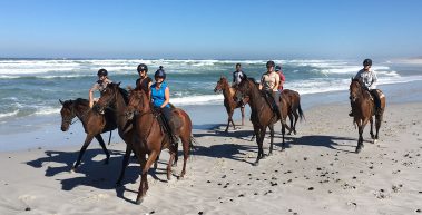 guests enjoying a unique beach horse riding experience at wine valley adventures