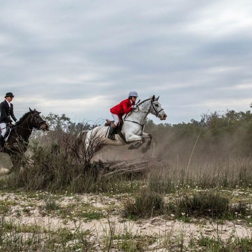 Wine Valley Adventures Horses Wine Valley Adventures Horses
