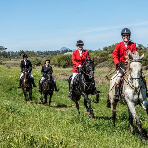 Wine Valley Adventures Horse Riding Guests enjoying the annual Drag Hunt with Wine Valley Adventures