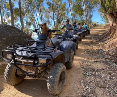 guests enjoying a quad bike trail with Gina at Wine Valley Adventures