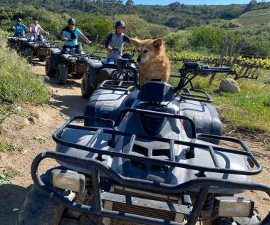 guests enjoying a quad bike trail with Gina at Wine Valley Adventures