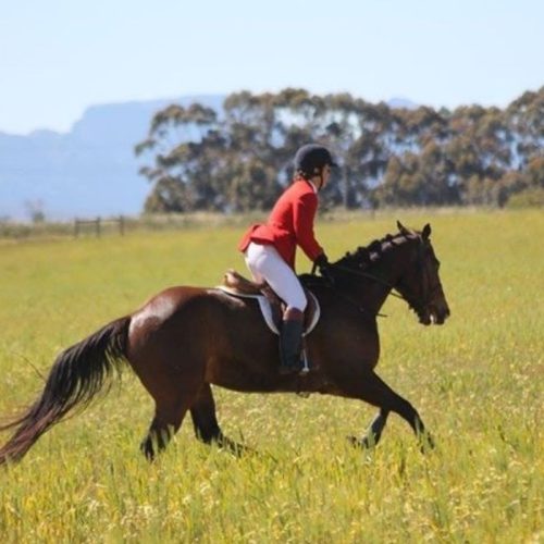 Horse Trails Horse Trails