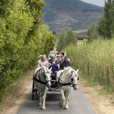 carriage (17) carriage (17)