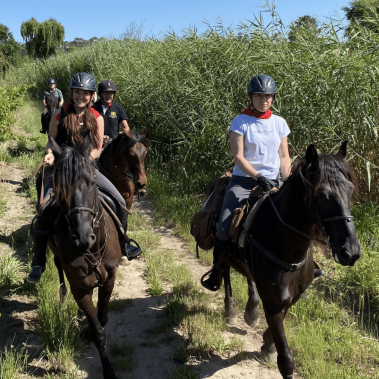 horse trails at wine valley adventures
