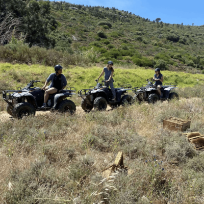 quad (16)