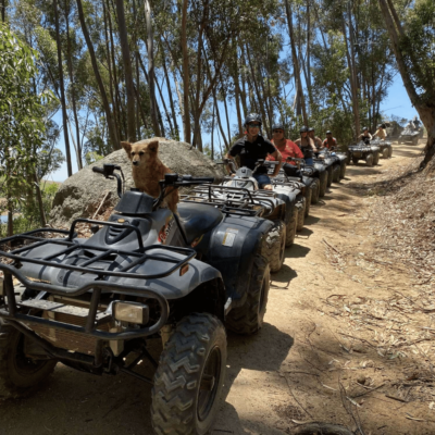 quad (2) quad (2)
