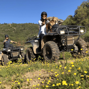 Exploring Franschhoek's Countryside