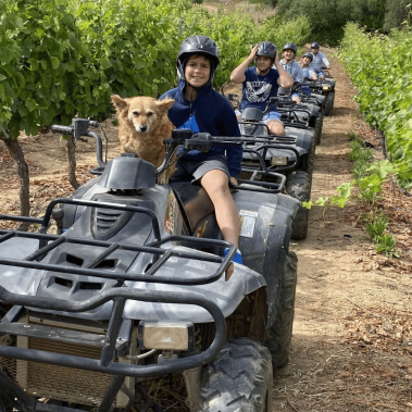 guests quad biking through the vineyards at wine valley adventures in the Franschhoek wine valley