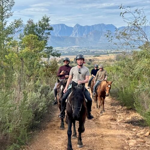 horse trails by Wine Valley Adventures guests enjoying the beautiful Franschhoek Wine Valley on horseback guided by Wine Valley Adventures