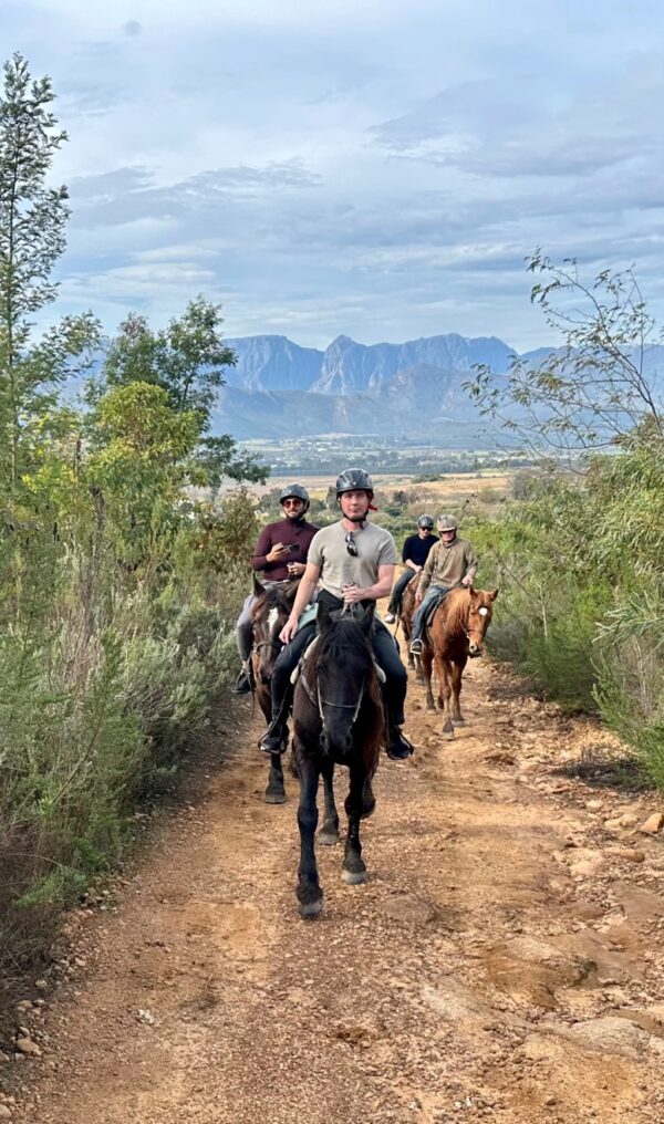 guests enjoying the beautiful Franschhoek Wine Valley on horseback guided by Wine Valley Adventures