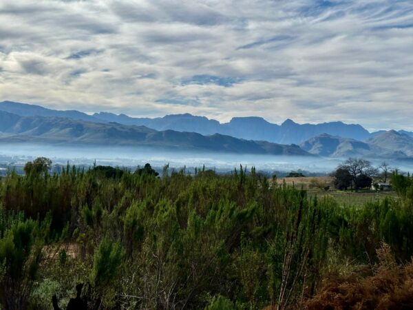 a gorgeous Franschhoek morning a gorgeous Franschhoek morning