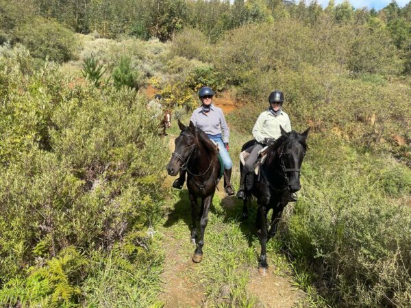 2h Horse Trail in Franschhoek 2h Horse Trail in Franschhoek