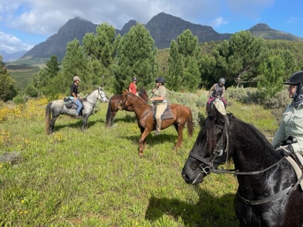wine valley adventures horse riding