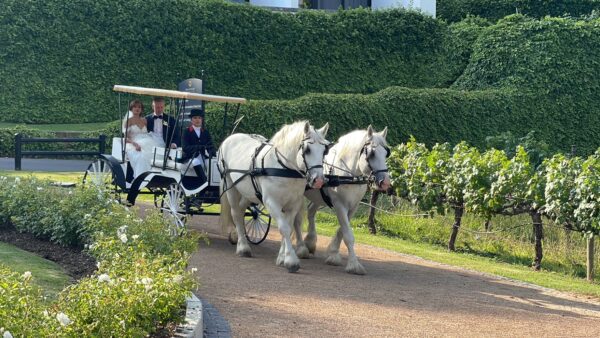 Horse and Carriage Hire