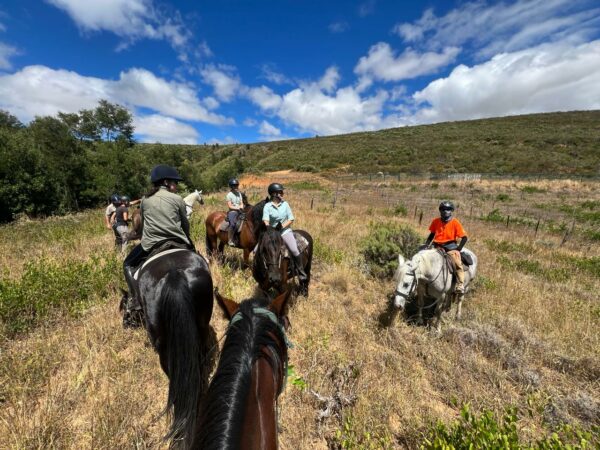 Boland Adventure