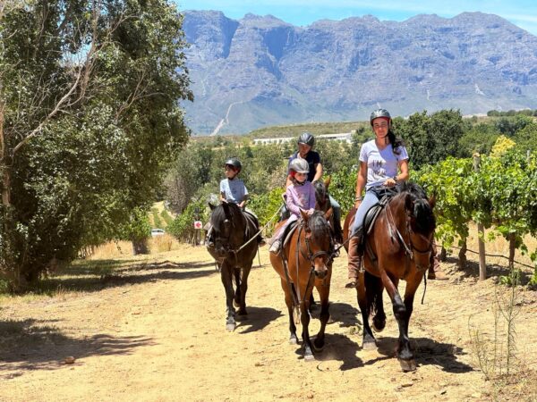 Family-friendly horse riding in Franschhoek