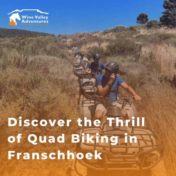 Quad Biking in Franschhoek Quad Biking in Franschhoek