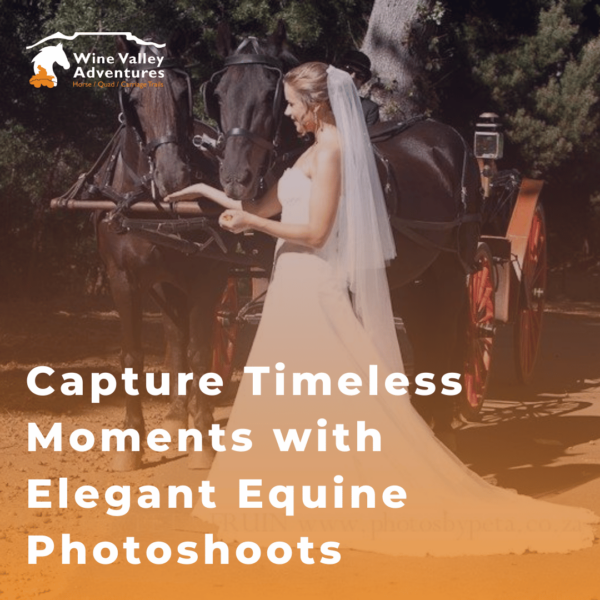 Elegant Equine Photoshoots