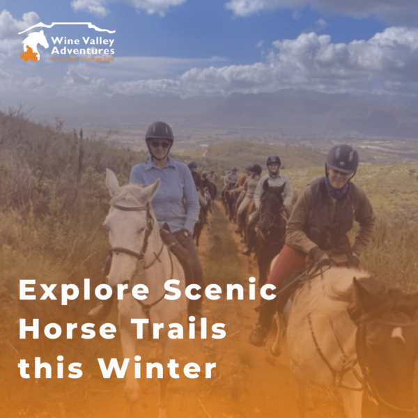 Horse Trails in Winter