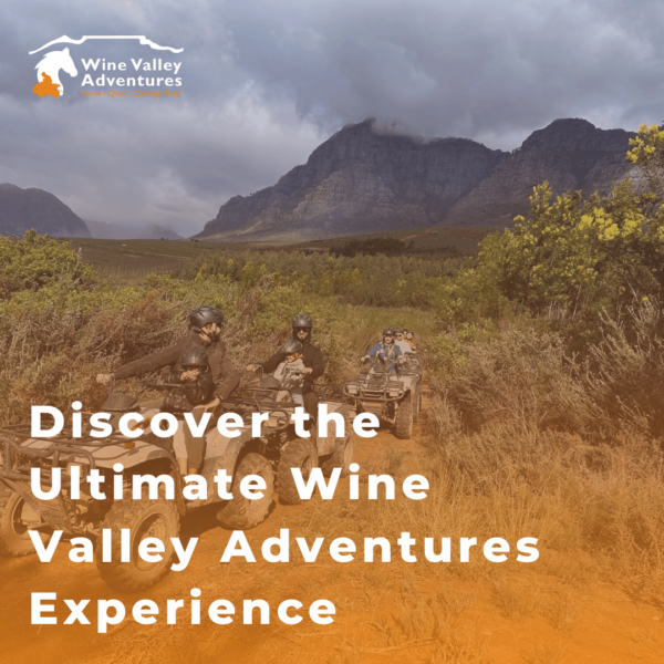 the ultimate wine valley adventures experience the ultimate wine valley adventures experience