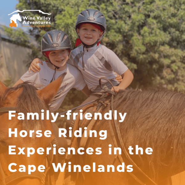 Family-friendly horse riding experiences Cape Winelands Family-friendly horse riding experiences Cape Winelands