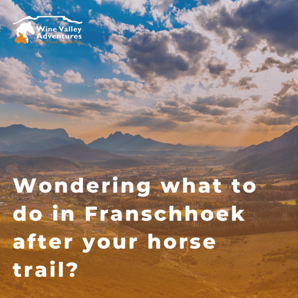 Wondering what to do in Franschhoek after your horse trail? Wondering what to do in Franschhoek after your horse trail?