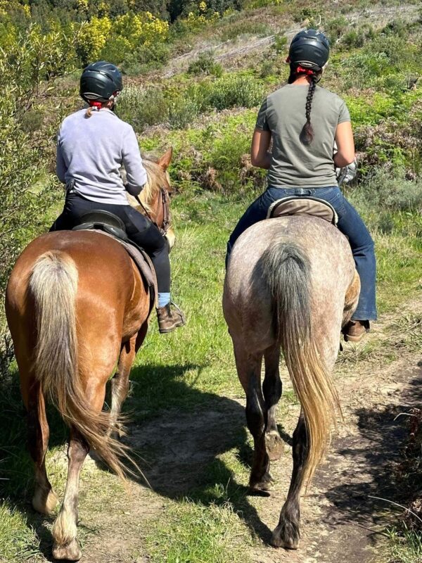 First-Time Horse Riding in Franschhoek – What to Expect First-Time Horse Riding in Franschhoek – What to Expect